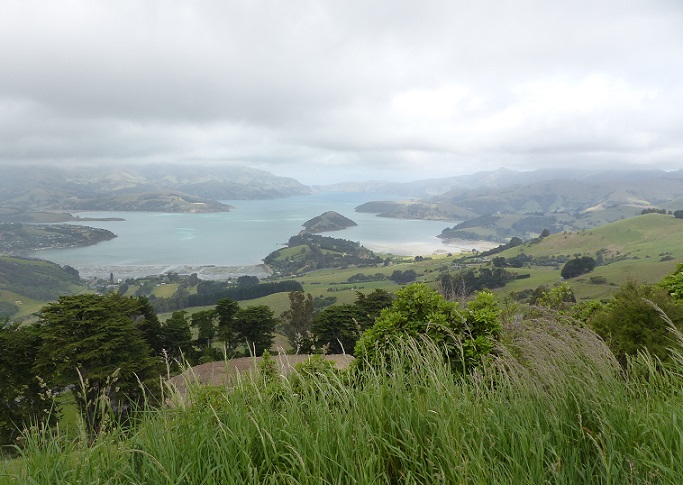 Akaroa Harbour, with the town to the left, Dec 2015 